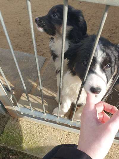 ich suche einen namen!🙈🆘-Beitrag-Bild