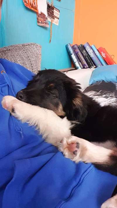 ich suche einen namen!🙈🆘-Beitrag-Bild