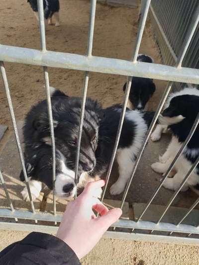 ich suche einen namen!🙈🆘-Beitrag-Bild