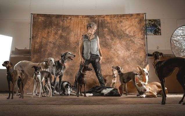 Hundeschulen-Sighthound Coach-Bild