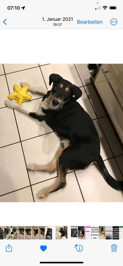 28. Handy-Fotochallenge - Damals und heute-Beitrag-Bild