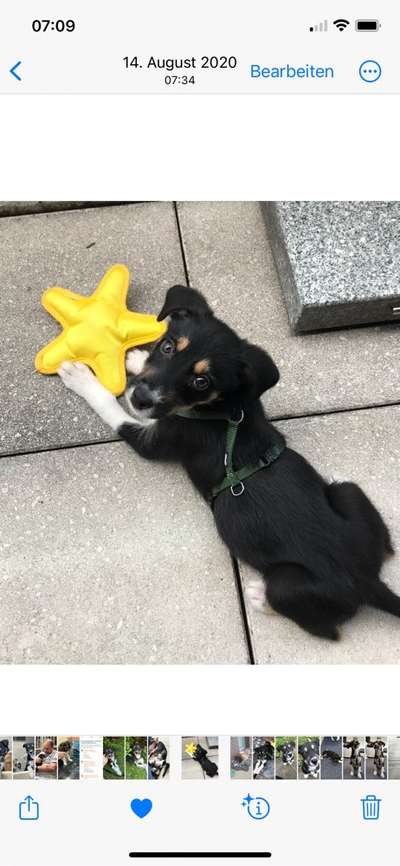 28. Handy-Fotochallenge - Damals und heute-Beitrag-Bild