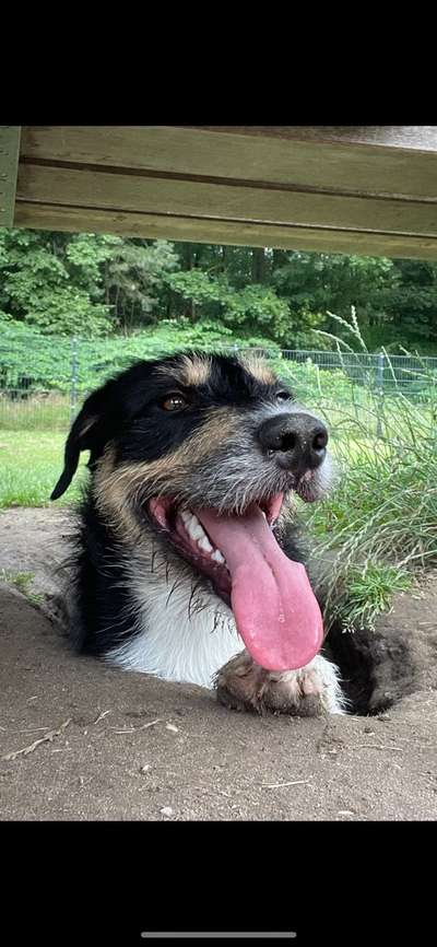 Handyfoto challenge Nr. 13: Waschlappen raus!-Beitrag-Bild