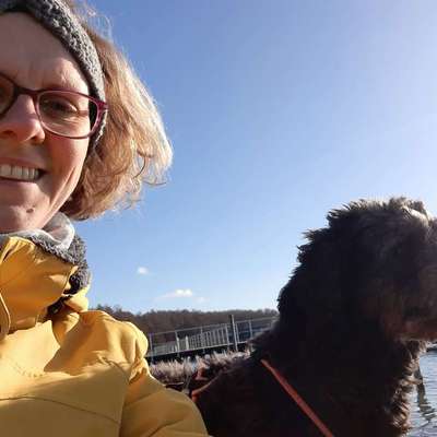 Hundetreffen-Treffen für gemeinsame Gassirunden-Bild