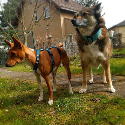 Sputnik's Profilbild