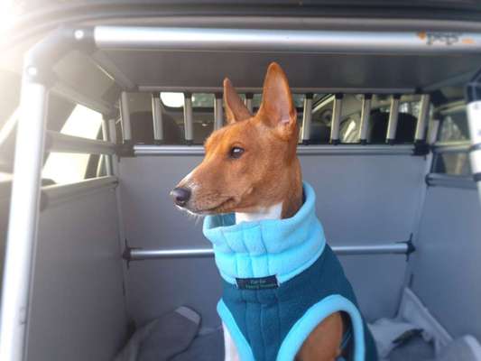 Ist das ein...?-Beitrag-Bild