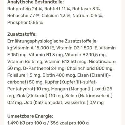 Ist mein Hundefutter gut?-Beitrag-Bild