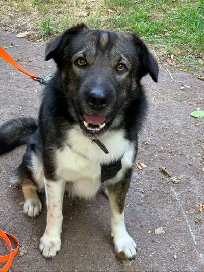 Doppelgänger gesucht !-Beitrag-Bild