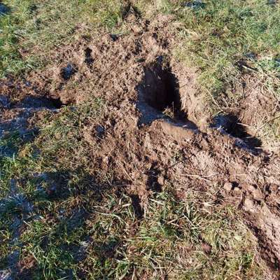 Was hat euch heute genervt?-Beitrag-Bild