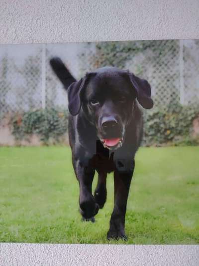 Doppelgänger gesucht !-Beitrag-Bild