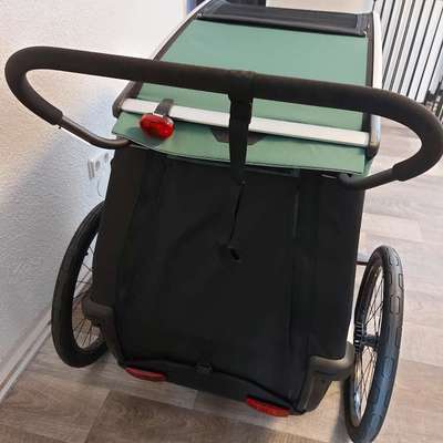 Fahrradanhänger für einen mittelgroßen Hund-Beitrag-Bild