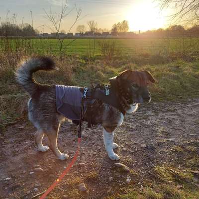 Was hat euch heute gefreut?-Beitrag-Bild