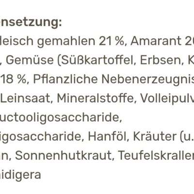 Ist mein Hundefutter gut?-Beitrag-Bild