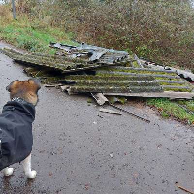 Was hat euch heute genervt?-Beitrag-Bild