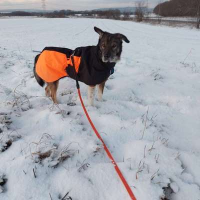 Welche Mäntel empfehlt ihr?-Beitrag-Bild