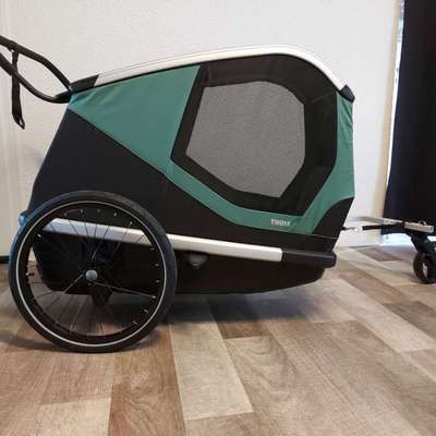 Fahrradanhänger für einen mittelgroßen Hund-Beitrag-Bild