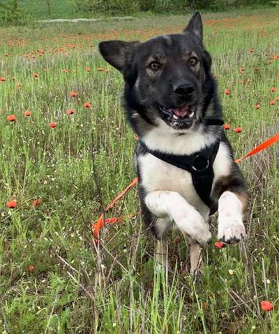 Fotochallenge Nr. 52 „Spring!“-Beitrag-Bild