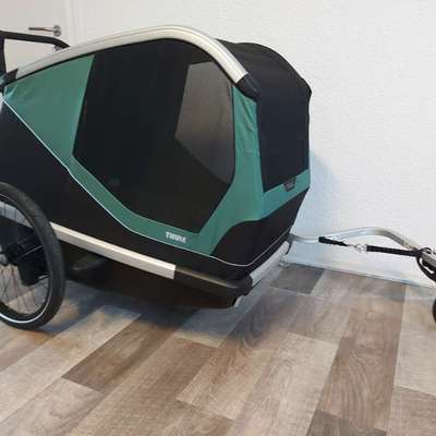 Fahrradanhänger für einen mittelgroßen Hund-Beitrag-Bild