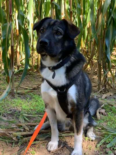 Gibt es Namens-Verwandte-Beitrag-Bild