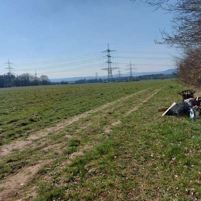 Was hat euch heute genervt?-Beitrag-Bild