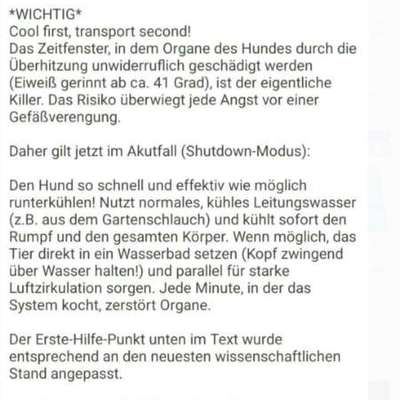Warum sind meine Hunde bei Hitze so?-Beitrag-Bild