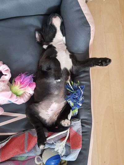 Schlafposition-Beitrag-Bild