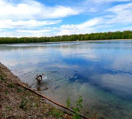 Dogorama-Monats-Challenge-Mai "Wasser"-Beitrag-Bild