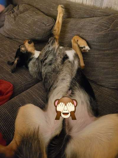 Foto Challenge Nr. 134-Beitrag-Bild