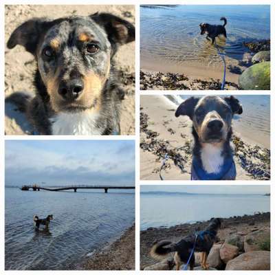 37. Collagen Challenge- Am Strand-Beitrag-Bild