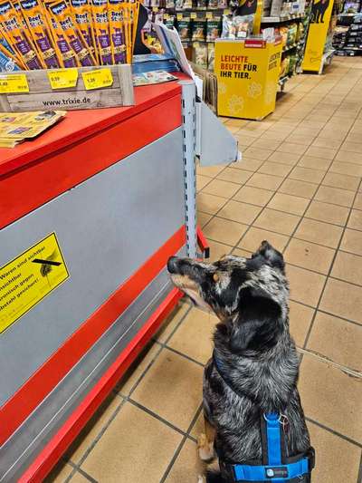 Fotowettbewerb: Shopping Queen oder King-Beitrag-Bild