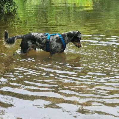 Foto Challenge Nr.133-Beitrag-Bild