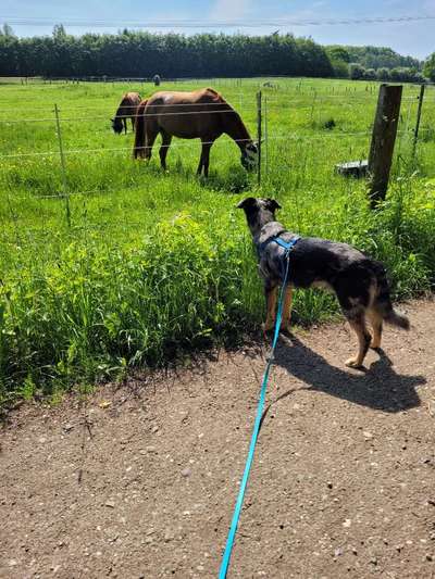 23. Farben / Fotochallenge - Türkis --Beitrag-Bild