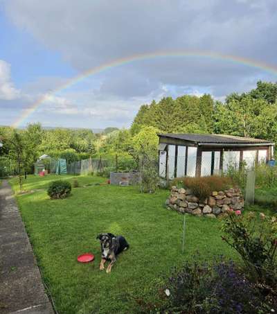 24. Farben Fotochallenge / Regenbogenfarben oder so bunt wie möglich!-Beitrag-Bild