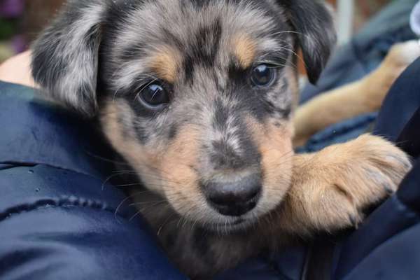 Lieblingsbild-Beitrag-Bild