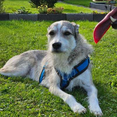 154. FotoChallenge * AUFS BILD GEMOGELT *-Beitrag-Bild