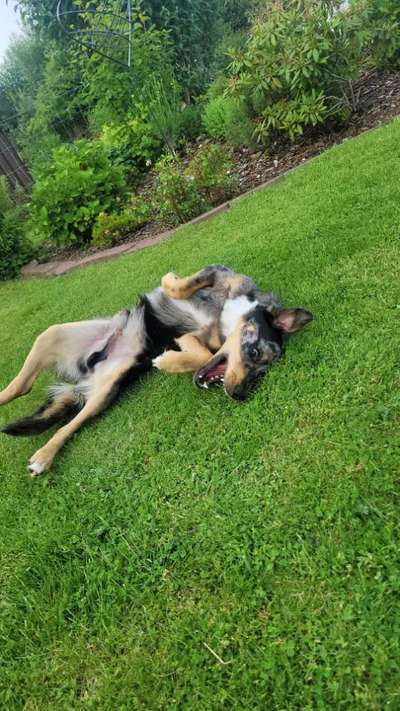 FOTO CHALLENGE Thema ,,durchdrehen"-Beitrag-Bild