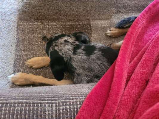 80. Foto  Challenge - Versteckt/ in einer Höhle-Beitrag-Bild