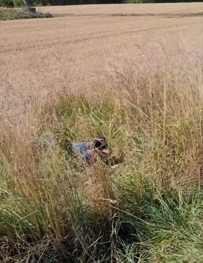 143. Fotochallenge: Ja, wo isser denn?-Beitrag-Bild