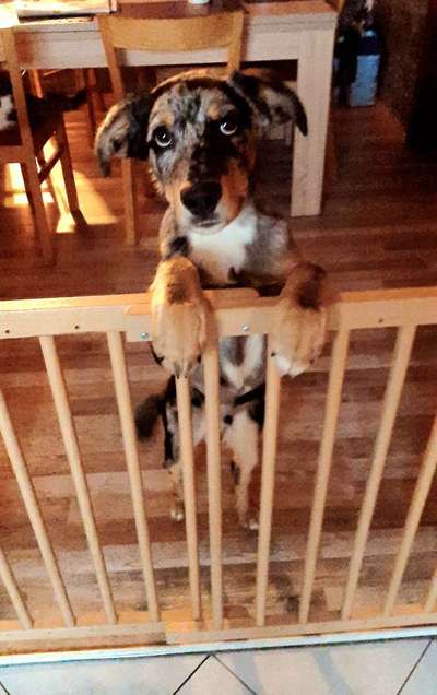 147. Foto Challenge: Bettelblick-Beitrag-Bild