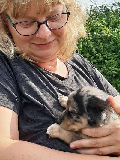 Fotowettbewerb "Liebeserklärung an deinen Hund!"-Beitrag-Bild