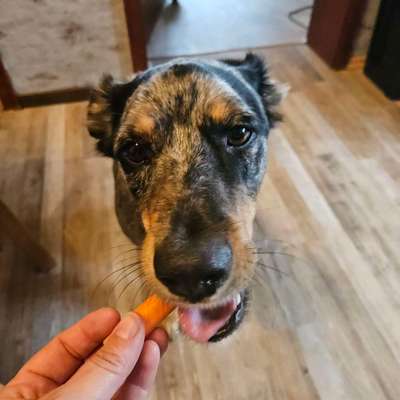 152. Foto Challenge: "Friss mir aus der Hand"-Beitrag-Bild