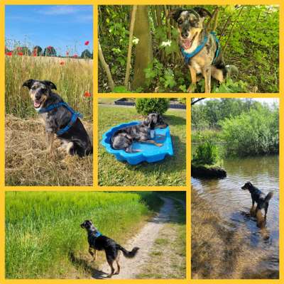 Zeigt eure schönsten Sommerbilder-Beitrag-Bild