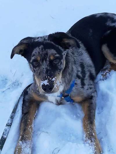 14. Farbenfoto-Challenge "Weiss"-Beitrag-Bild