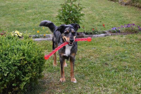 Zeige deinen Schatz mit seinem Lieblingsspielzeug.-Beitrag-Bild