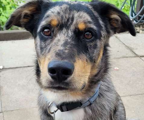 150. Foto Challaenge:  Die Augen, der Spiegel der Seele-Beitrag-Bild