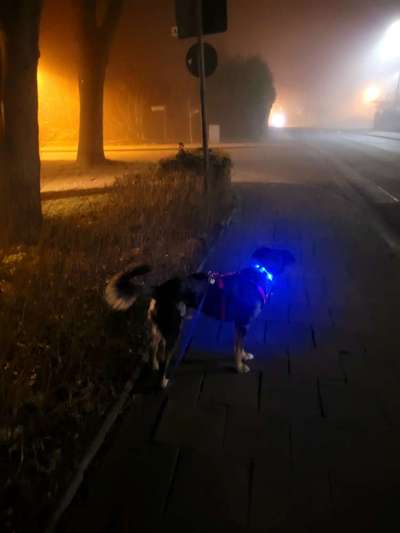 21. Farben / Foto Challenge - Neon / Leuchtfarben-Beitrag-Bild