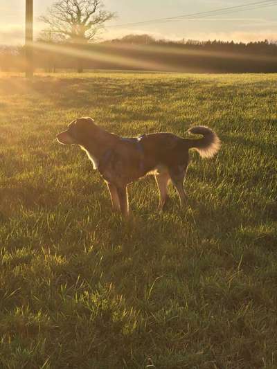 Farben Fotochallenge Sonnenlicht-Beitrag-Bild
