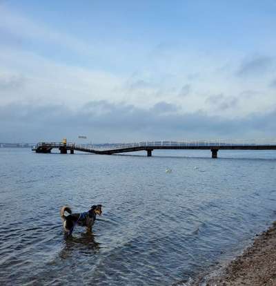 Foto Challenge Thema "Brücke"-Beitrag-Bild