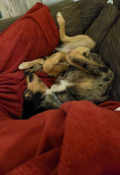 11. Farben Foto Challenge Rot-Beitrag-Bild