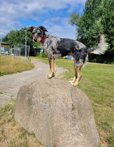 57. Handy Foto Challenge - klettern-Beitrag-Bild